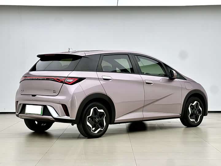 Фото 16 - BYD Dolphin