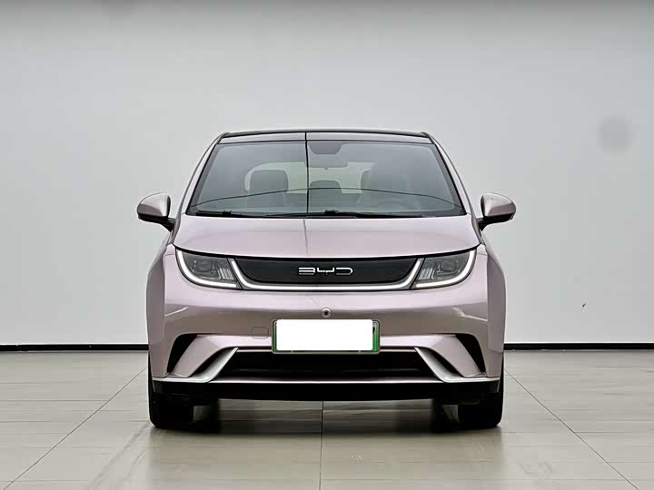 Фото 2 - BYD Dolphin