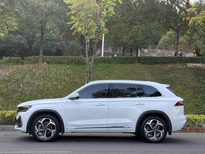 Фото 3 - Geely Monjaro