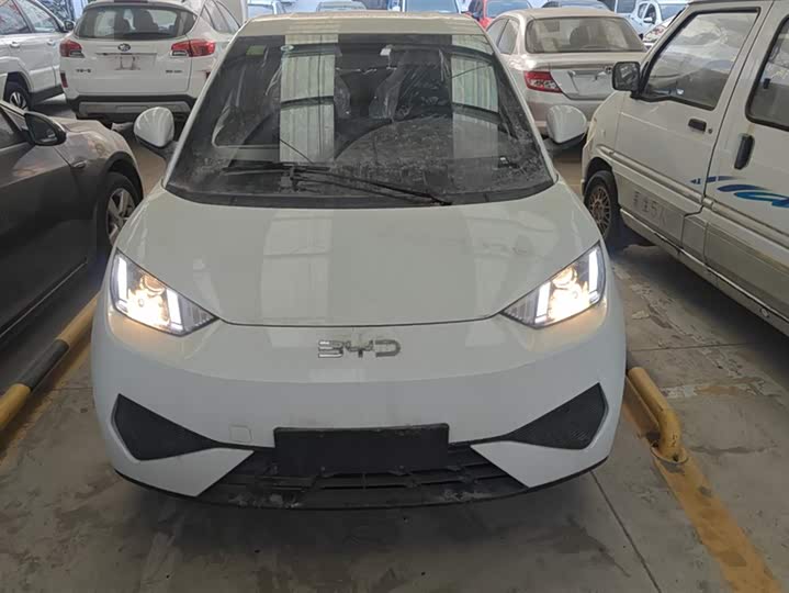 Фото 2 - BYD Seagull