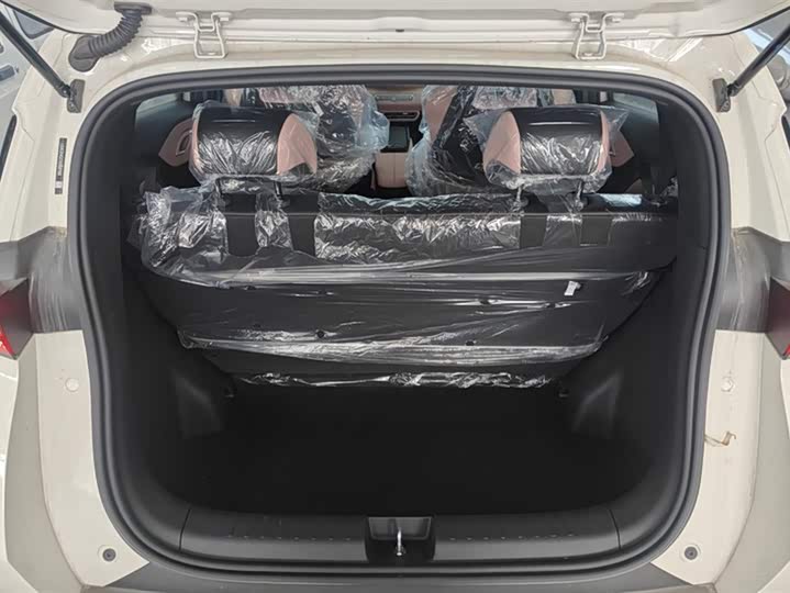 Фото 4 - BYD Seagull