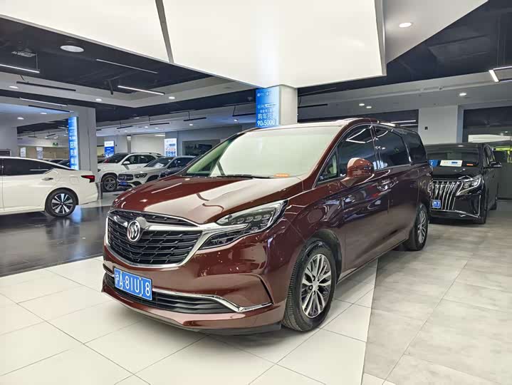 Фото 1 - Buick GL8 ES