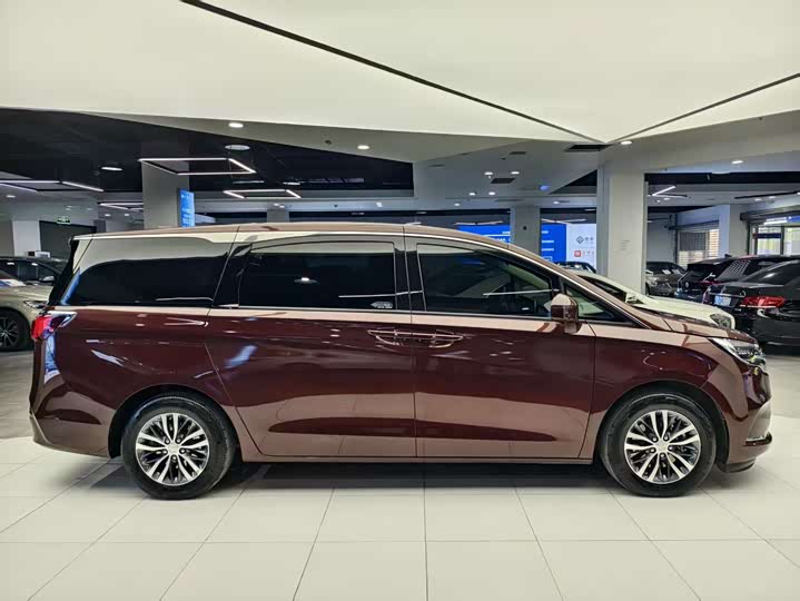 Фото 18 - Buick GL8 ES