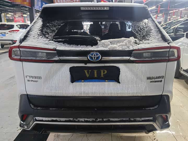 Фото 3 - Toyota Wildlander