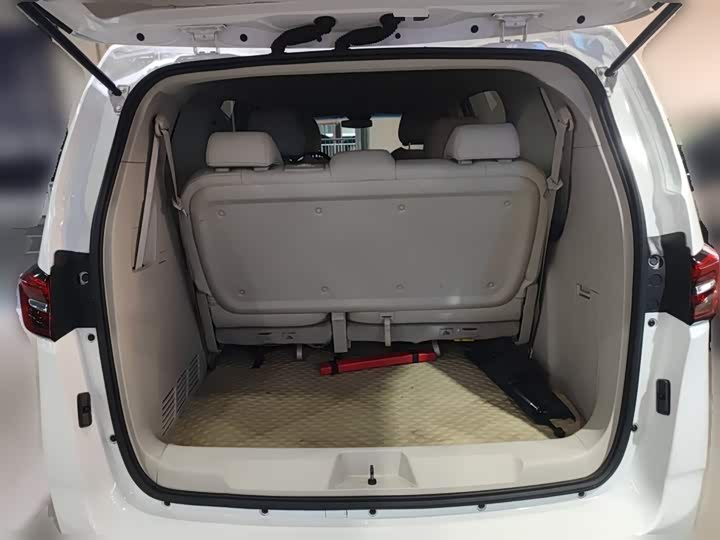 Фото 26 - Buick GL8 ES