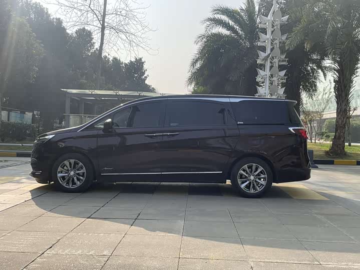 Фото 4 - Buick GL8 ES