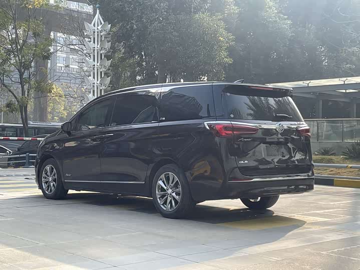 Фото 7 - Buick GL8 ES