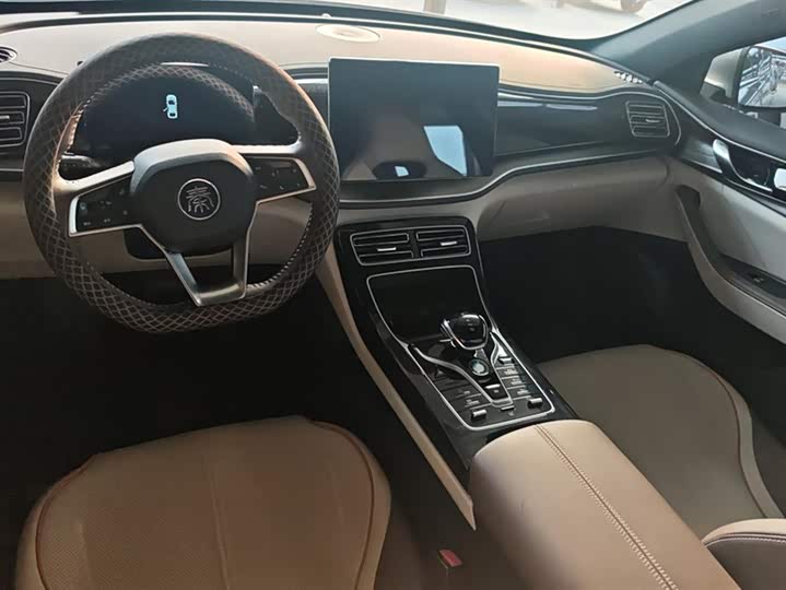 Фото 12 - BYD Qin Plus