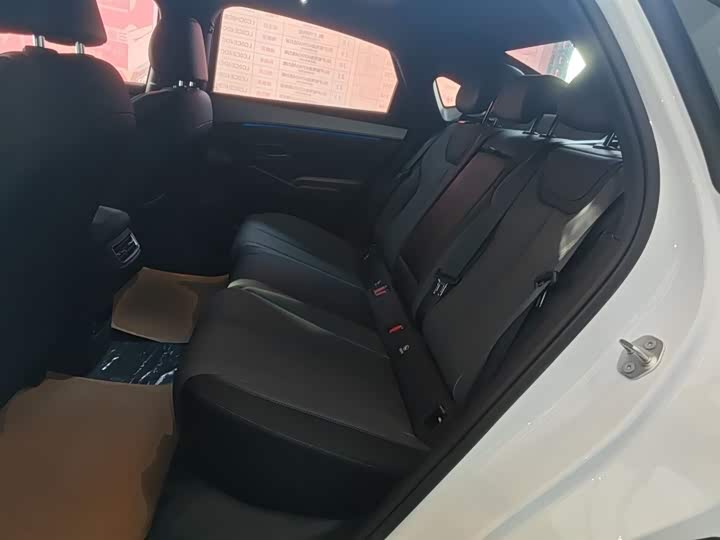 Фото 17 - BYD Qin L