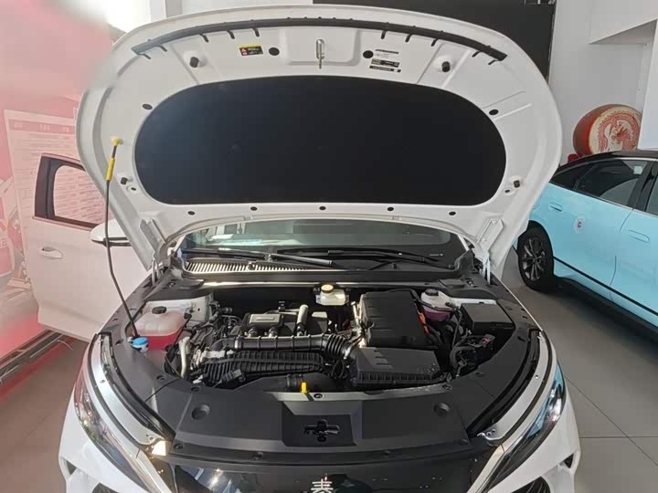 Фото 20 - BYD Qin L