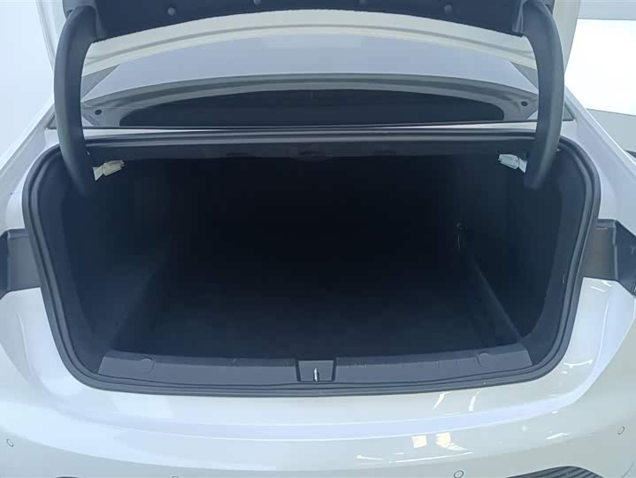 Фото 4 - BYD Destroyer 05