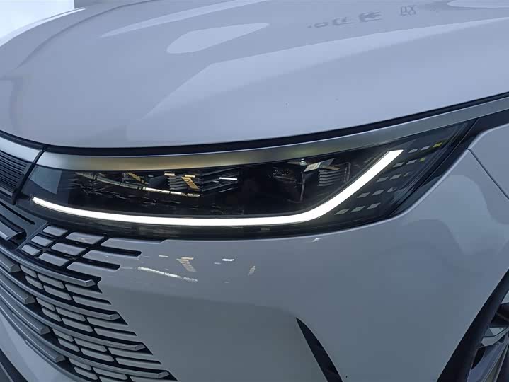 Фото 5 - BYD Destroyer 05