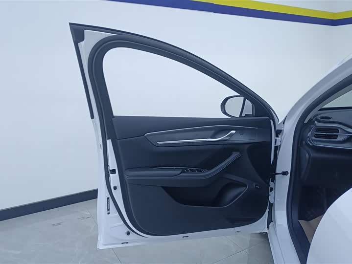 Фото 7 - BYD Destroyer 05