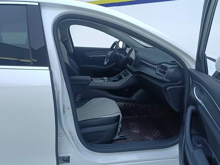 Фото 8 - BYD Destroyer 05