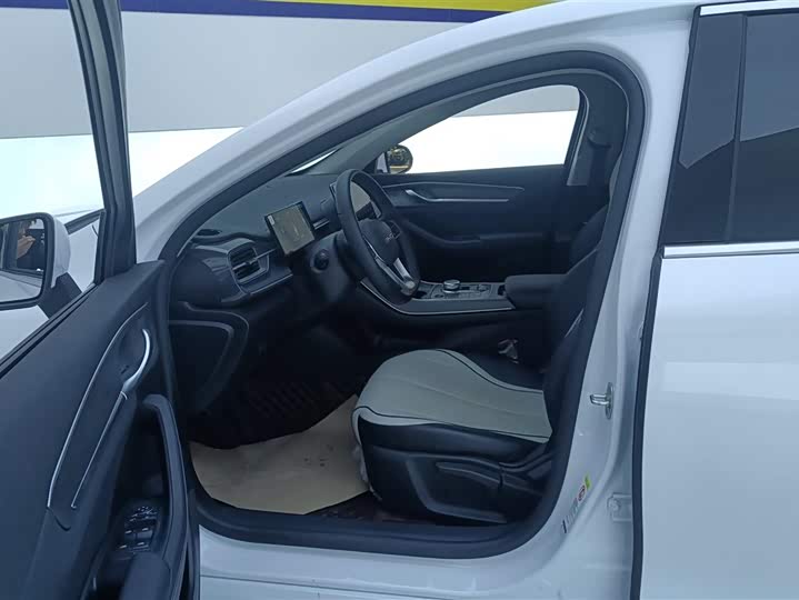 Фото 9 - BYD Destroyer 05