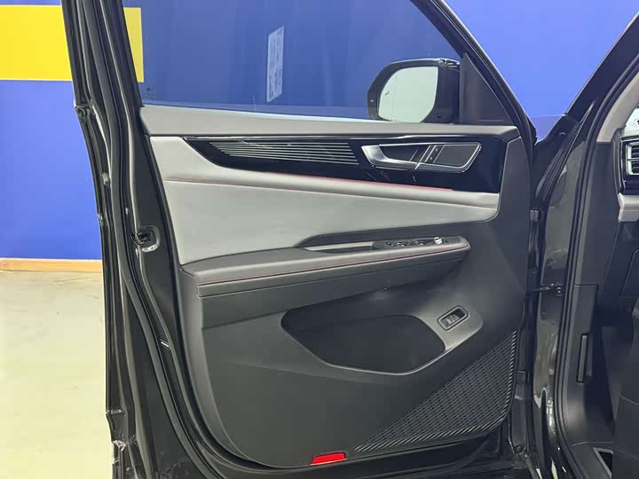 Фото 16 - Volkswagen Teramont X