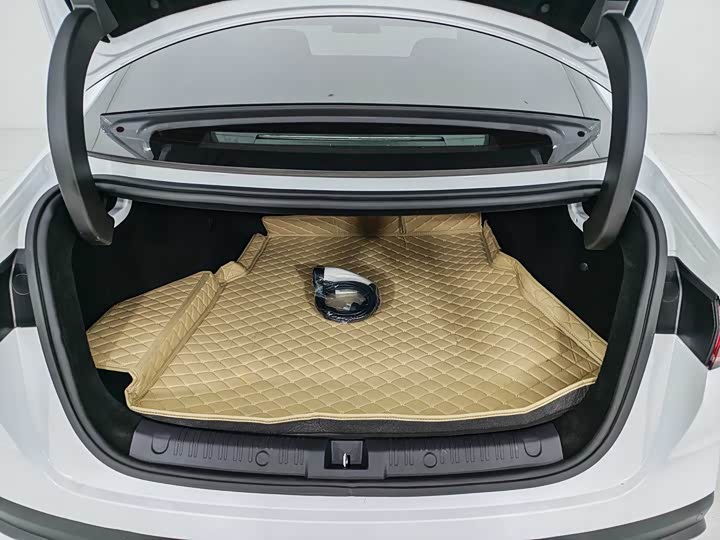 Фото 19 - BYD Qin L