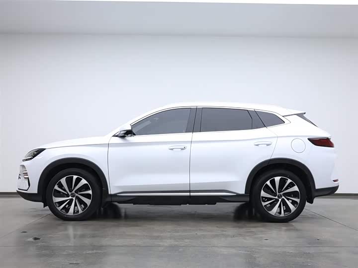 Фото 6 - BYD Song Plus Hybrid/EV