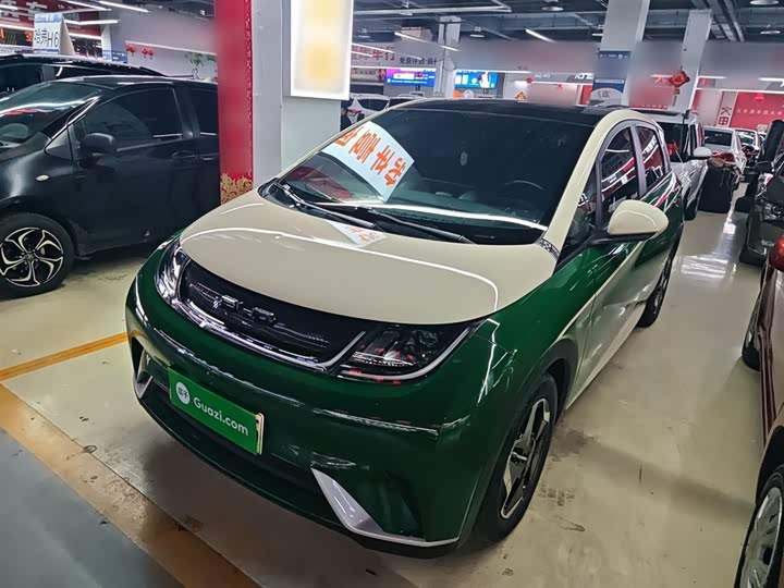 Фото 2 - BYD Dolphin