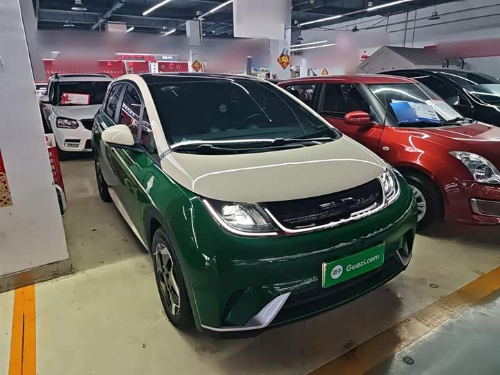 Фото 4 - BYD Dolphin