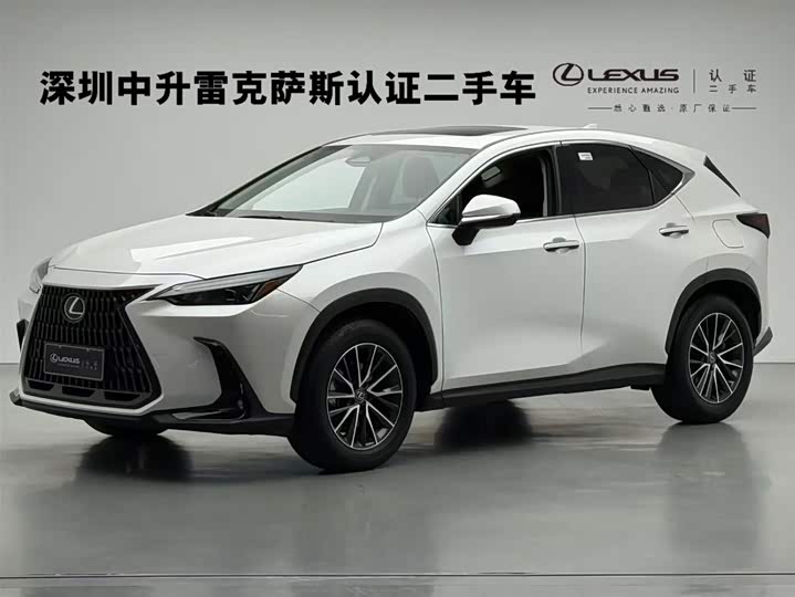 Фото 1 - Lexus NX