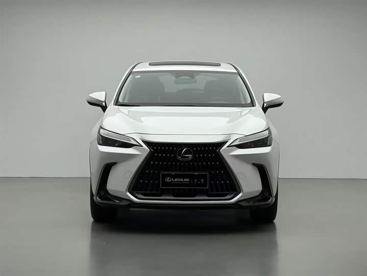 Фото 2 - Lexus NX