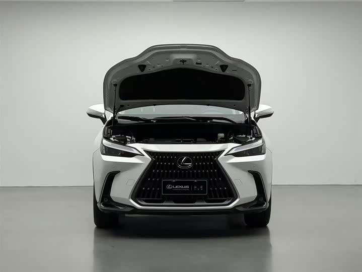 Фото 3 - Lexus NX