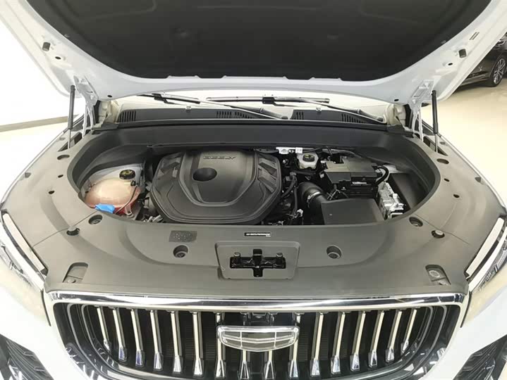 Фото 10 - Geely Monjaro