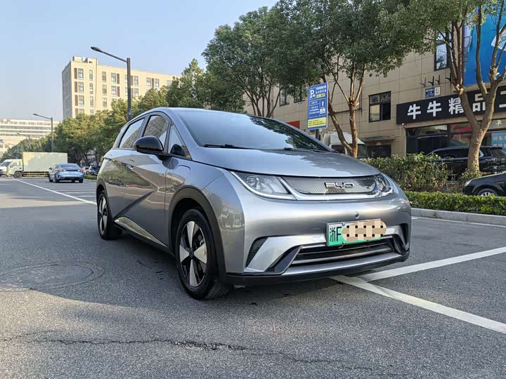 Фото 1 - BYD Dolphin