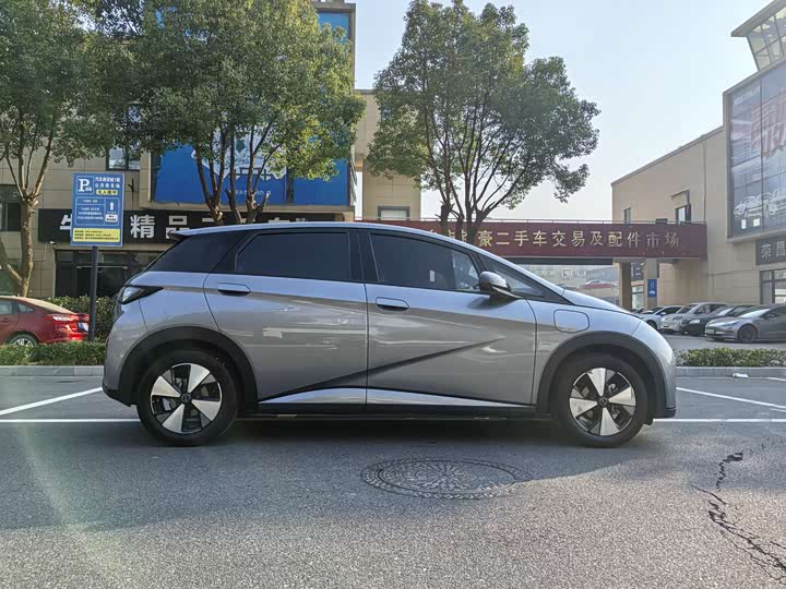 Фото 4 - BYD Dolphin