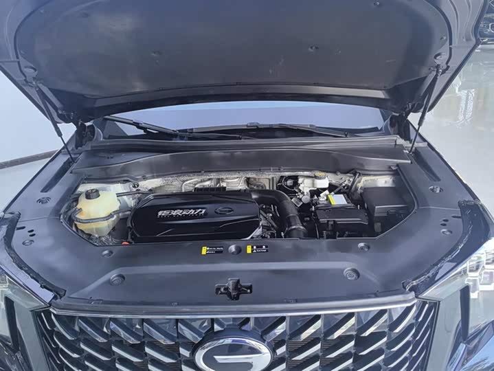 Фото 10 - GAC Trumpchi GS8