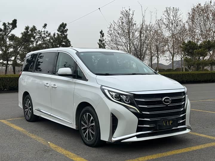 Фото 1 - GAC Trumpchi M8