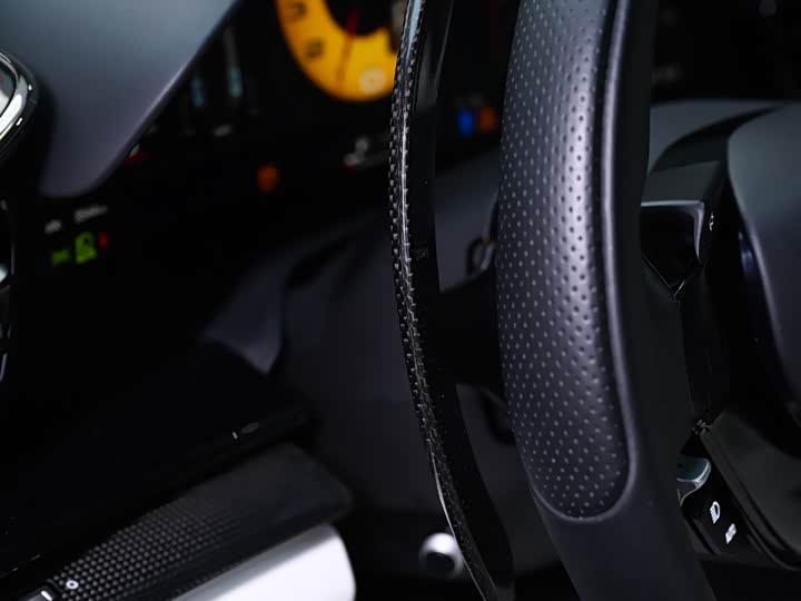 Фото 22 - Ferrari Purosangue