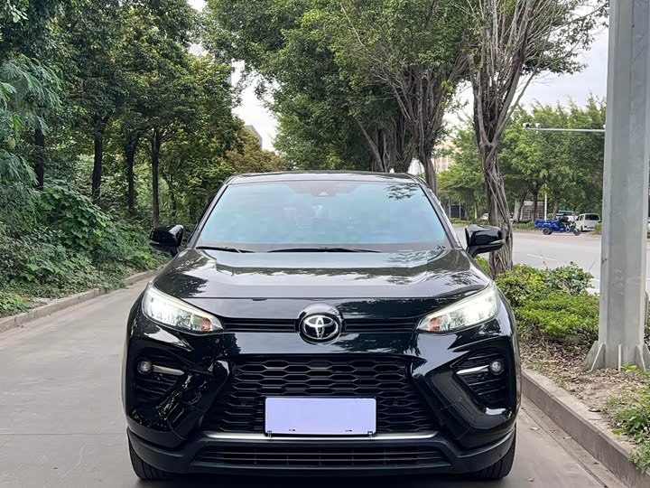 Фото 2 - Toyota Wildlander