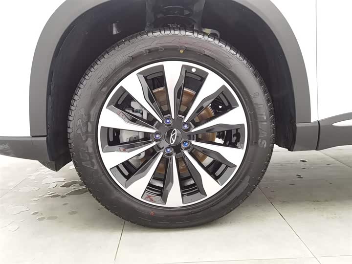 Фото 17 - Chery Tiggo 8 Plus