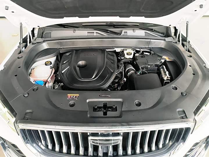 Фото 10 - Geely Monjaro