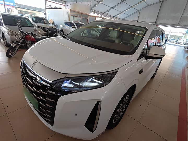 Фото 2 - BYD Xia