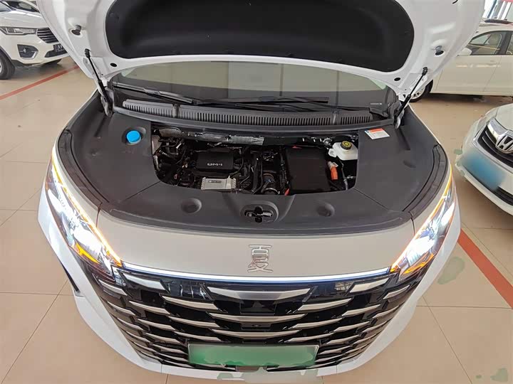 Фото 20 - BYD Xia