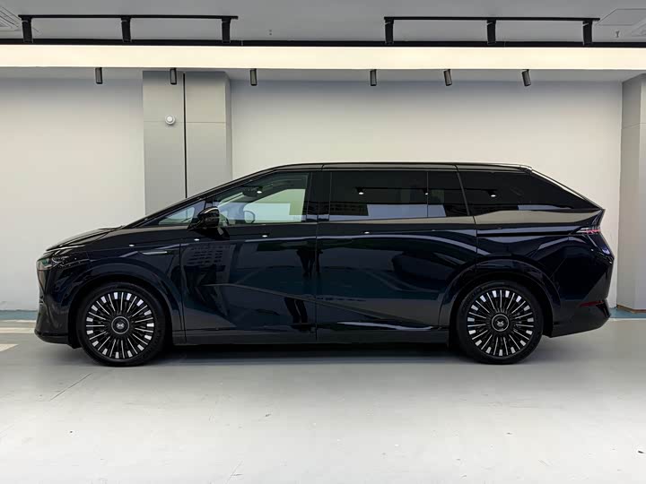 Фото 2 - XPeng X9