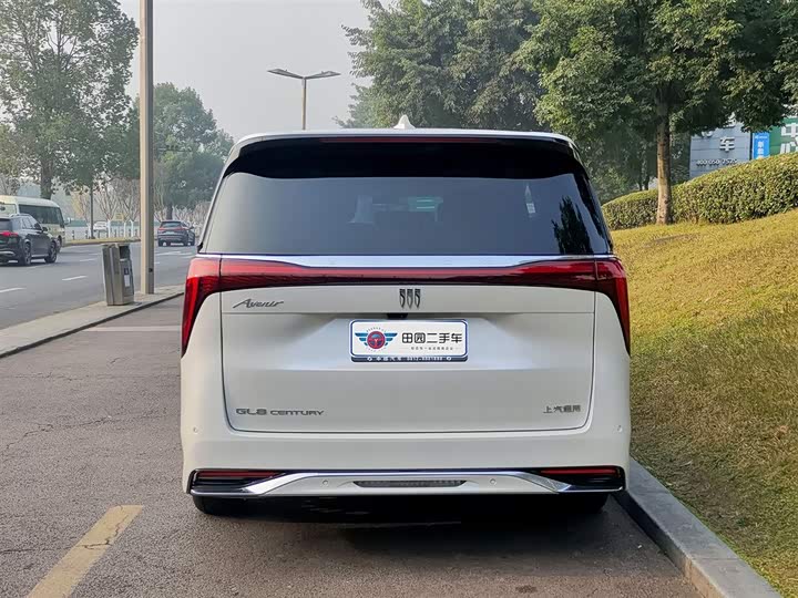 Фото 5 - Buick GL8 Century