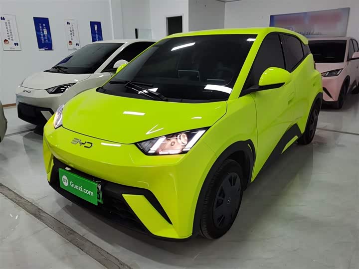 Фото 2 - BYD Seagull