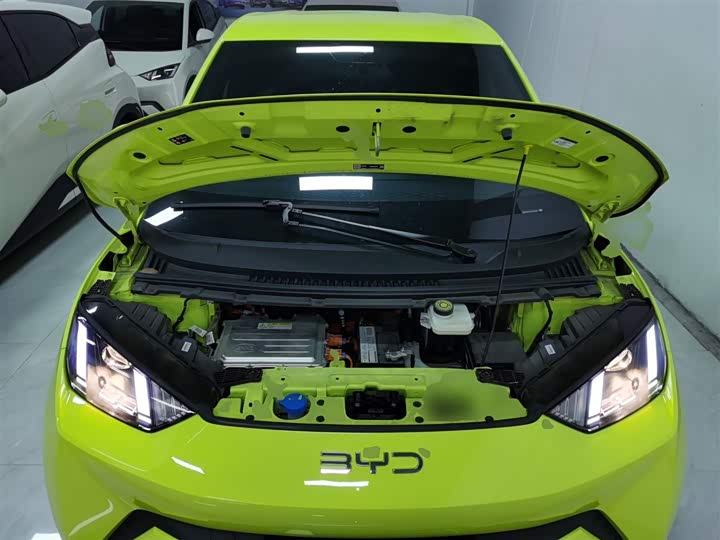 Фото 20 - BYD Seagull