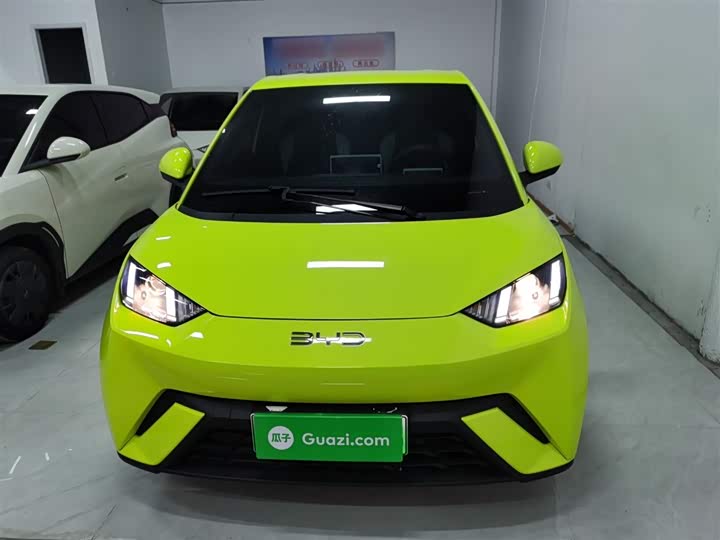 Фото 3 - BYD Seagull