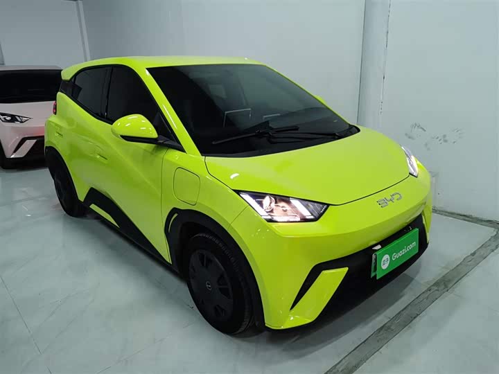 Фото 4 - BYD Seagull