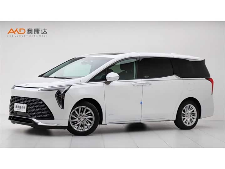 Фото 1 - Buick GL8 Century