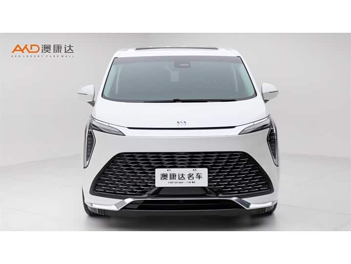 Фото 2 - Buick GL8 Century