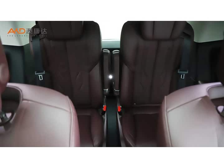 Фото 9 - Buick GL8 Century