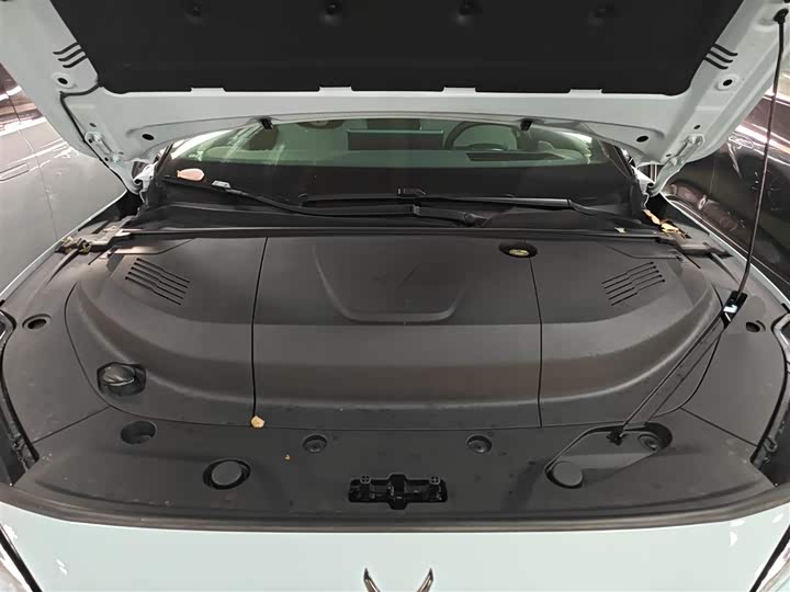 Фото 20 - BAIC Arcfox Alpha S5