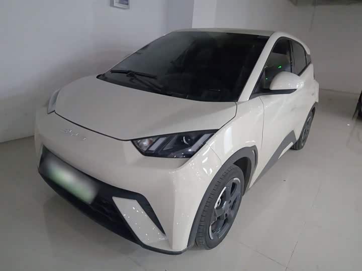 Фото 1 - BYD Seagull