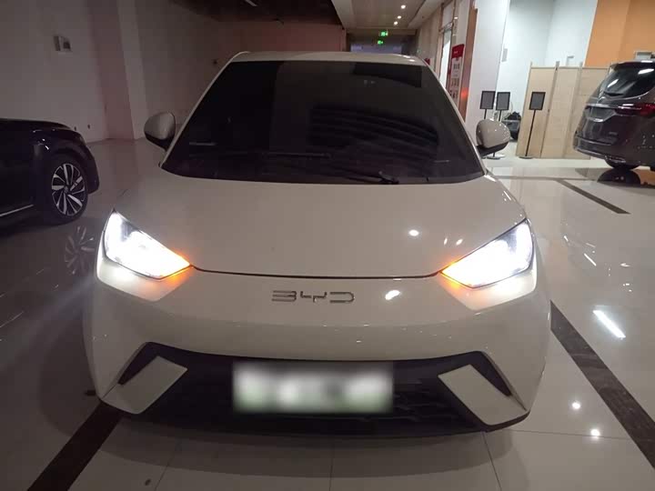 Фото 3 - BYD Seagull